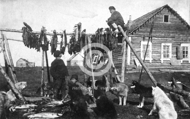 A log house covered with bark. Near the house there was a fish drying facility, 1910-1929. Creator: Ivan Emelianovich Larin.