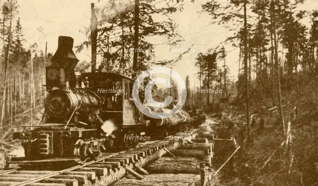 'A Logging Railway, British Coumbia', 1930. Creator: ENA.
