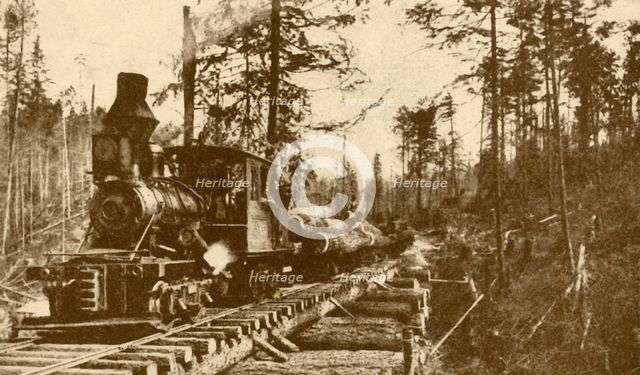 'A Logging Railway, British Coumbia', 1930. Creator: ENA.