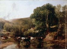 A lush canyon with cattle by T.S. Cooper