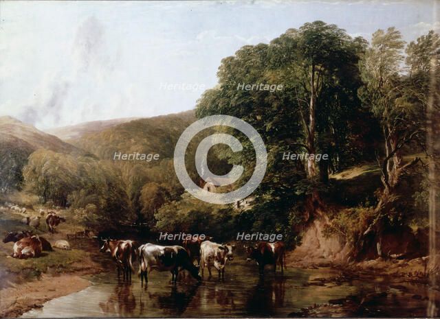  'A lush canyon with cattle' by T.S. Cooper.