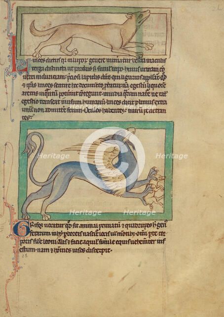 A Lynx; A Griffin; Northumberland Bestiary, about 1250-1260. Creator: Unknown.
