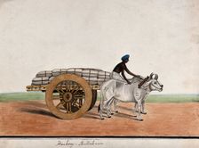 A man driving a bullock cart laden with sacks, (between 1800 and 1899?). Creator: Unknown