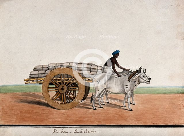 A man driving a bullock cart laden with sacks, (between 1800 and 1899?). Creator: Unknown.