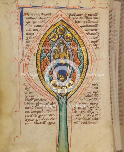 A Man Enthroned within a Mandorla in a Tree; Bestiary, about 1270. Creator: Unknown.