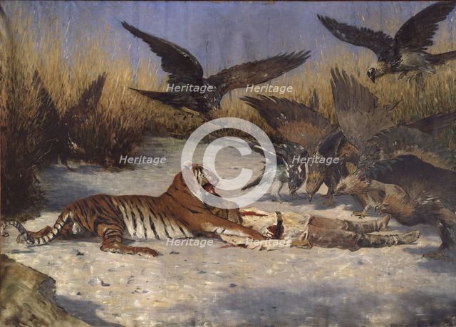 A Man-eater, 1870s-1880s. Artist: Vereshchagin, Vasili Vasilyevich (1842-1904)