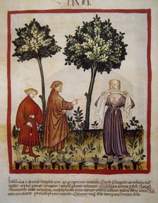 A man flies into a rage, 14th century. Creator: Unknown