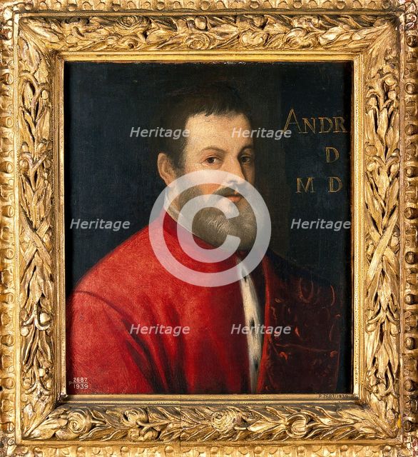 A man once designated as Andreas Vesalius (1514-1564), anatomist, 16th century. Creator: Venetian School.