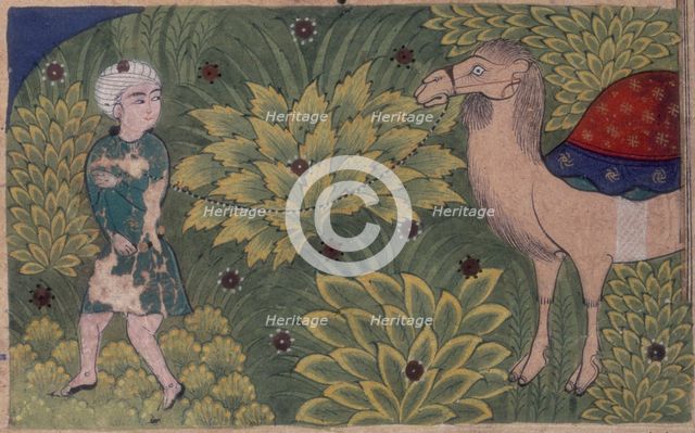 A man leading a camel, 16th century. Creator: Unknown.