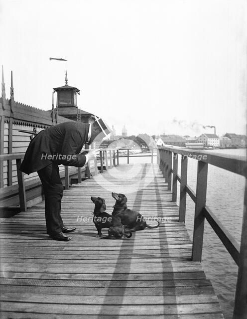A man scolds his two dachshunds, Landskrona, Sweden, 1910. Artist: Unknown