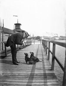 A man scolds his two dachshunds, Landskrona, Sweden, 1910