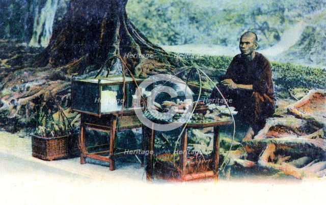 A man selling fruit under a tree, Hong Kong, China, c1900s. Artist: Unknown