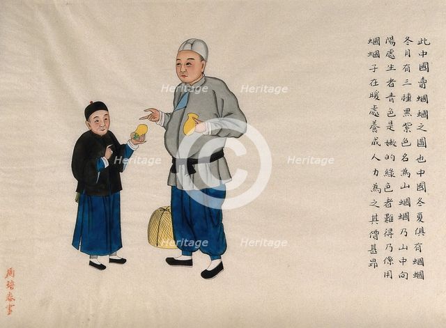 A man selling long-horned grasshoppers (Conocephalous longipennis), with a boy customer, 1890. Creator: Pei Qun Zhou.