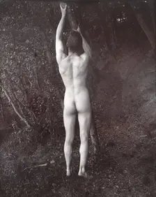 A man posing naked, with his back to the camera, holding on to a branch of a tree, c1900. Creator: Unknown