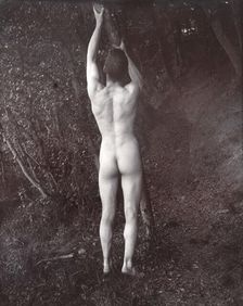 A man posing naked, with his back to the camera, holding on to a branch of a tree, c1900. Creator: Unknown