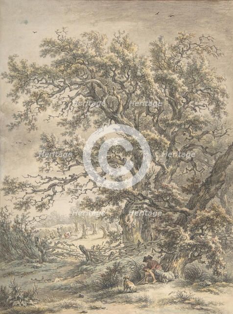 A Man Resting Under a Tree, n.d.. Creator: Egbert van Drielst.