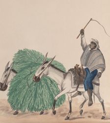 A man riding a mule, his whip raised, another mule loaded with grass alongside..., ca. 1848. Creator: Attributed to Francisco (Pancho) Fierro