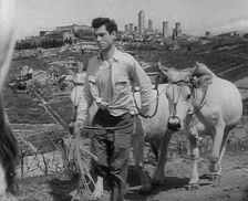 A Man Walking Livestock Through Countryside, 1943-1944. Creator: British Pathe Ltd