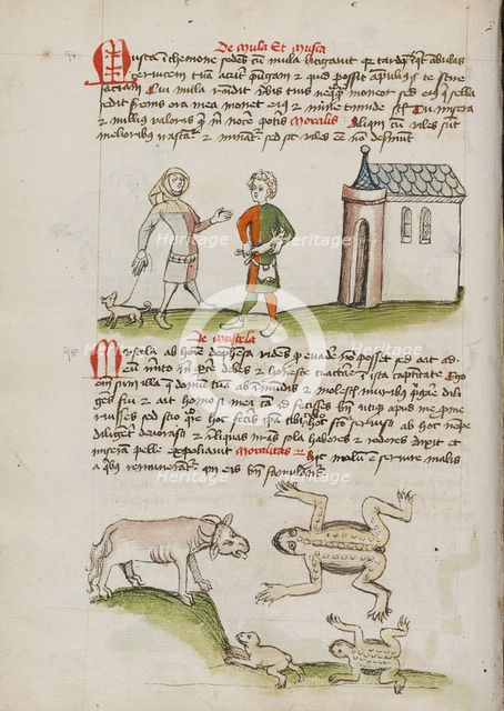 A Man with a Weasel on a Leash: An Ox, Frogs, and Toads; Fables, third quarter of 15th century. Creator: Unknown.