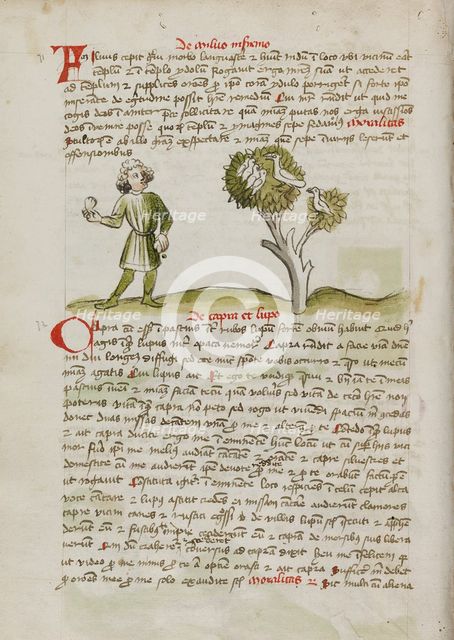 A Man Throwing at Birds Perched in a Tree; Fables, third quarter of 15th century. Creator: Unknown.