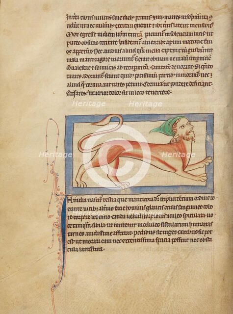 A Manticore; Northumberland Bestiary, about 1250-1260. Creator: Unknown.
