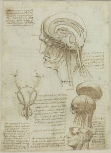 A manuscript sheet with anatomical drawings and notes, 1506-1508. Creator: Leonardo da Vinci (1452-1519)