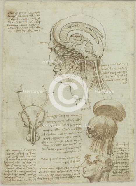 A manuscript sheet with anatomical drawings and notes, 1506-1508. Creator: Leonardo da Vinci (1452-1519).