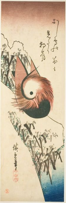 A Mandarin Duck on a Snowy Bank, 1830s. Creator: Ando Hiroshige