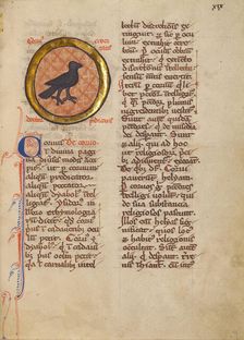 A Magpie; Bestiary, about 1270. Creator: Unknown