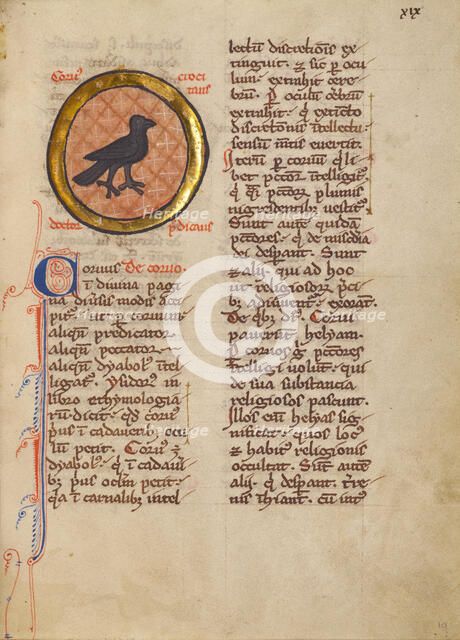 A Magpie; Bestiary, about 1270. Creator: Unknown.