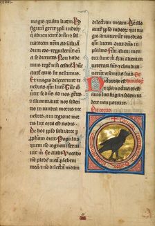 A Magpie; De Natura Avium; De Pastoribus et Ovibus, 1277 or after. Creator: Unknown