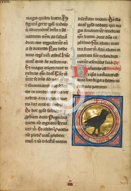 A Magpie; De Natura Avium; De Pastoribus et Ovibus, 1277 or after. Creator: Unknown.