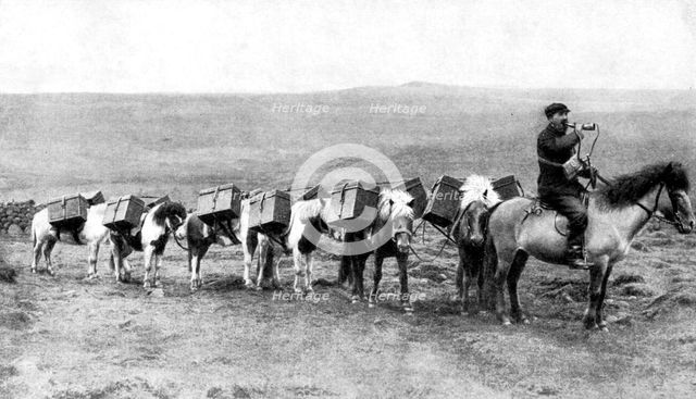 A mail caravan crossing the Icelandic plains, Iceland, 1922. Artist: Unknown