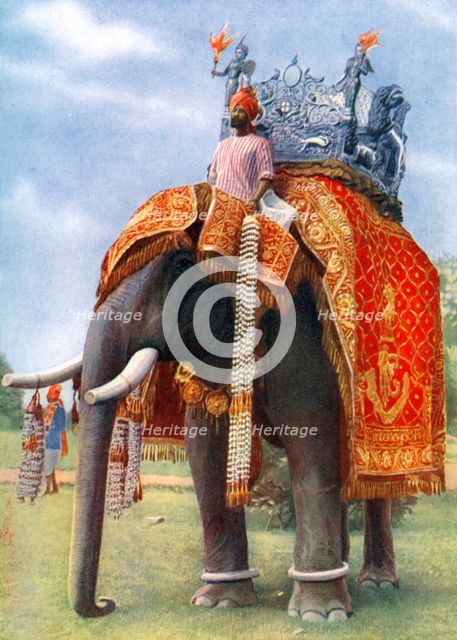 A majestic elephant at Bengal's chief festive gathering, India, 1922.Artist: L Barber