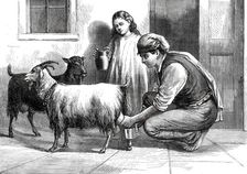 A Maltese Milkman, 1876. Creator: Unknown