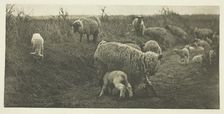 A March Pastoral (Suffolk), c. 1883/87, printed 1888. Creator: Peter Henry Emerson