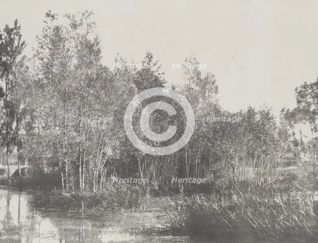 A Marsh, c1852. Creator: Adalbert Cuvelier.