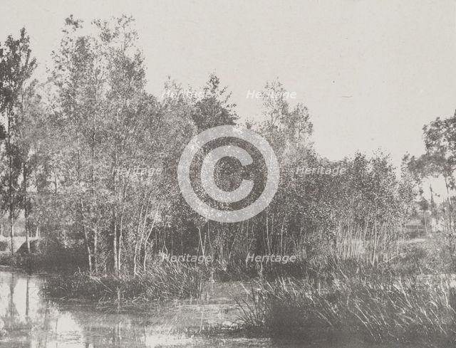 A Marsh, c1852. Creator: Adalbert Cuvelier.