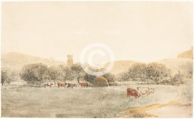 A Meadow with Cattle near Glastonbury. Creator: Peter de Wint.