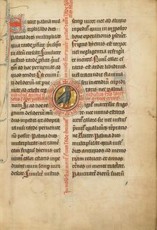 A Medallion with a Turtle Dove; De Natura Avium; De Pastoribus et Ovibus; Bestiarium, 1277 or after. Creator: Unknown