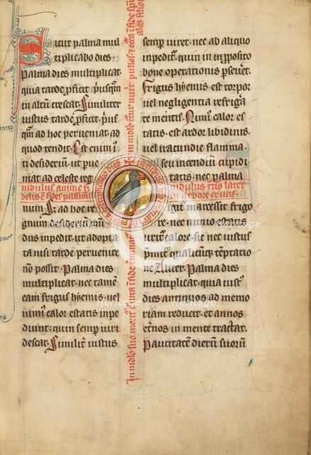 A Medallion with a Turtle Dove; De Natura Avium; De Pastoribus et Ovibus; Bestiarium, 1277 or after. Creator: Unknown.