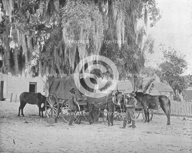 A Merchant from San Antonio, Texas, USA, c1900.  Creator: Unknown.