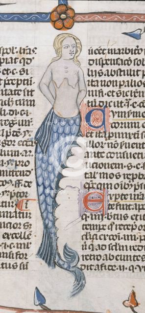 A mermaid, 1300-1340.  Creator: Unknown.