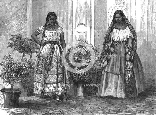 'A Mexican Courtyard (Patio); A Zigzag Journey through Mexico', 1875. Creator: Unknown.
