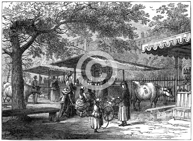 A milk fair, St James's Park, London, 1891.Artist: J Greenaway