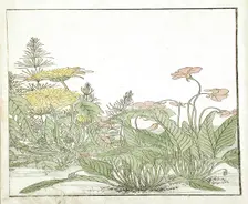 A Mirror of Competing Beauties of the Green Houses (image 20 of 20), 1776. Creators: Shunsho, Kitao Shigemasa