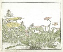 A Mirror of Competing Beauties of the Green Houses (image 20 of 20), 1776. Creators: Shunsho, Kitao Shigemasa