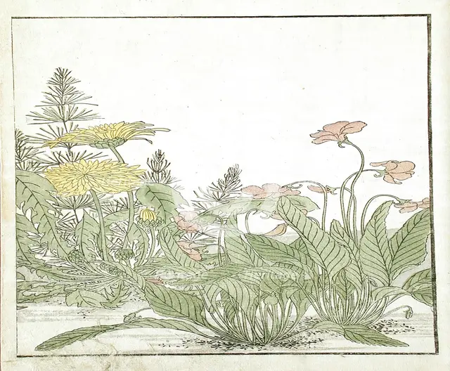 A Mirror of Competing Beauties of the Green Houses (image 20 of 20), 1776. Creators: Shunsho, Kitao Shigemasa.