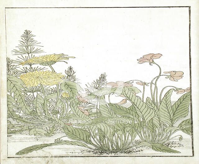 A Mirror of Competing Beauties of the Green Houses (image 20 of 20), 1776. Creators: Shunsho, Kitao Shigemasa.