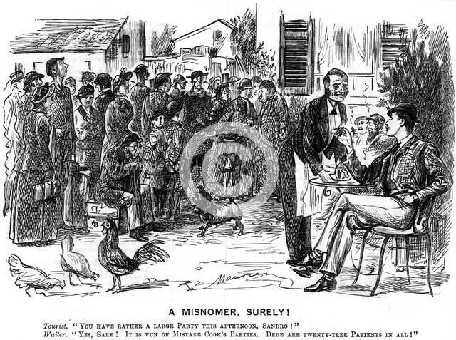 'A Misnomer, Surely!', 1880.  Artist: George du Maurier